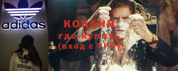крисы Алзамай