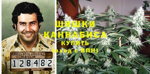 spice Алексин