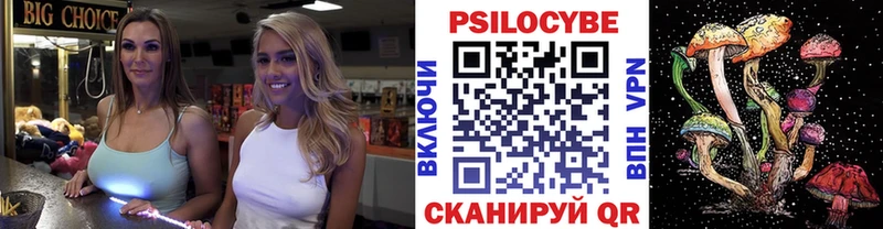 Псилоцибиновые грибы Cubensis  Адыгейск 